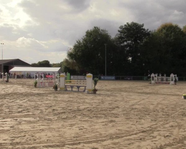 Reitturnier Kamen 2022