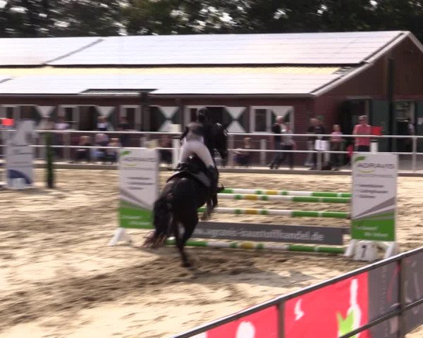 Springturnier Lüdinghausen 2021
