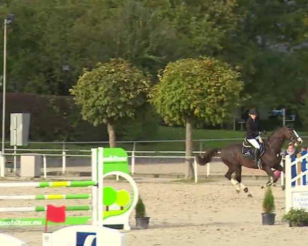 Reitturnier Frankenhof-Sonnefeld/Ofr. 2022