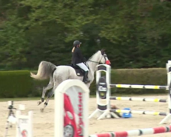 Reitturnier Frankenhof-Sonnefeld/Ofr. 2022