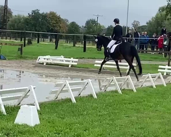 Reitturnier Lobberich 2022