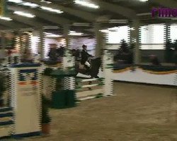 jumper Quasti (Westphalian, 2007, from Quinta Real)