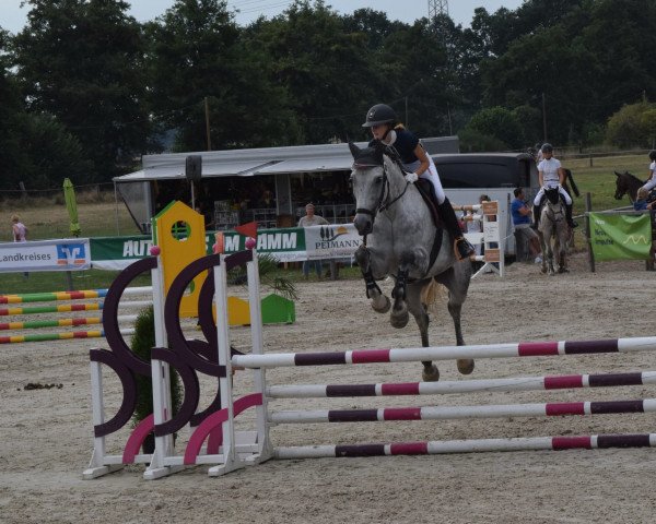 jumper Caramba 116 (Hanoverian, 2016, from Come And Fly)
