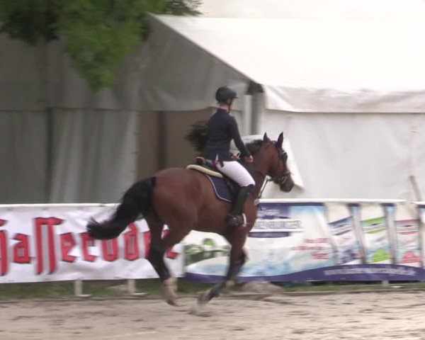 1. Mitteldeutsches Championat - Prussendorf 2022