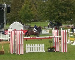 stallion Lacoochee (Holsteiner, 1996, from Loutano)