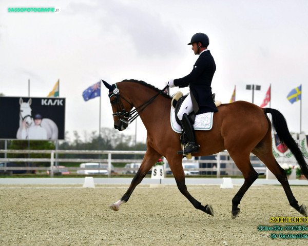 dressage horse Centolire (Mecklenburg, 2012, from Centadel)