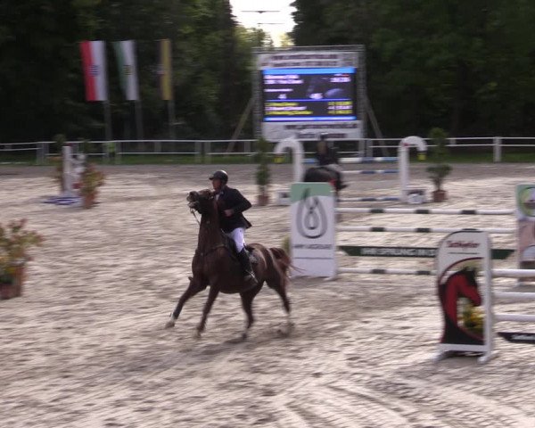 1. Mitteldeutsches Championat - Prussendorf 2022