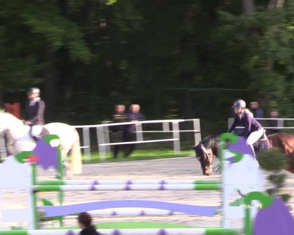 1. Mitteldeutsches Championat - Prussendorf 2022