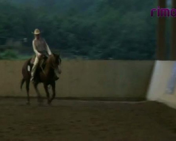horse Sugars Peppy Train 26131 (Quarter Horse,  , from Nics Peppy Train)