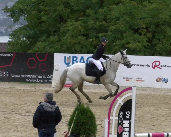 Pferdesporttage Wädenswil 2022