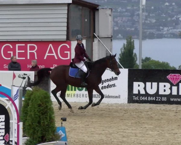 Pferdesporttage Wädenswil 2022