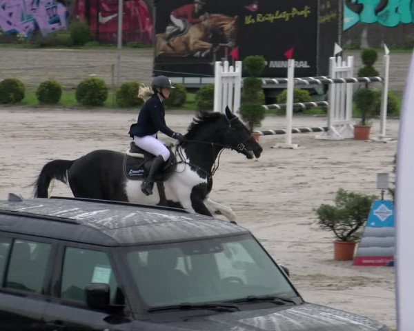 Reitturnier Basel Schänzli 2022