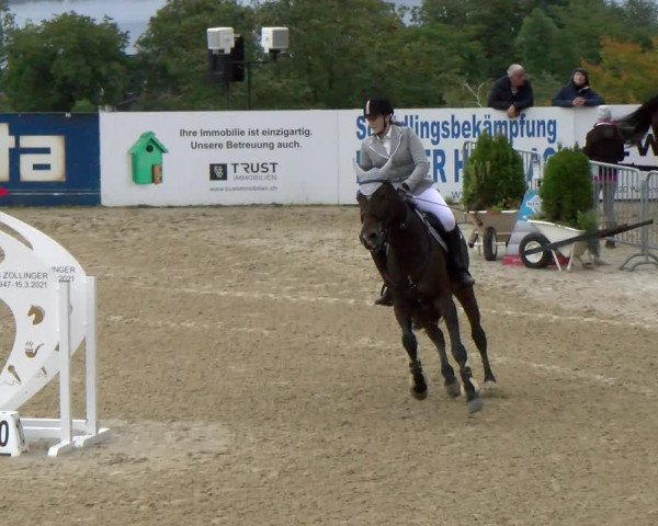 Pferdesporttage Wädenswil 2022