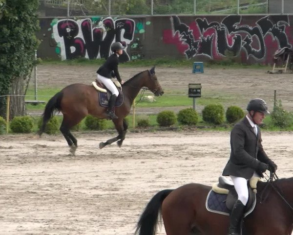 Reitturnier Basel Schänzli 2022