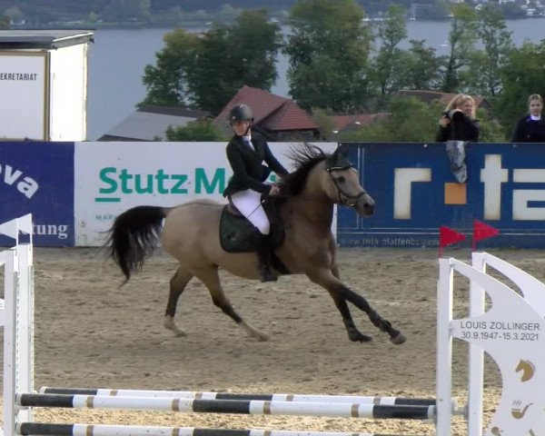 Pferdesporttage Wädenswil 2022