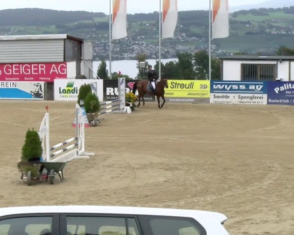 Pferdesporttage Wädenswil 2022