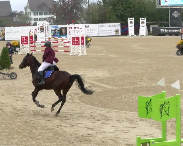 Pferdesporttage Wädenswil 2022