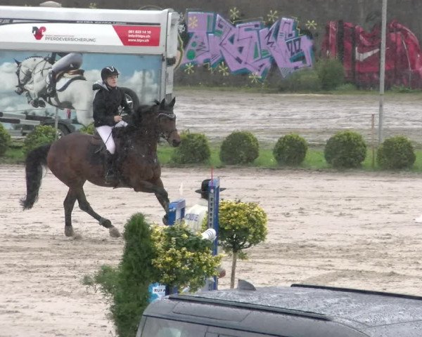 Reitturnier Basel Schänzli 2022