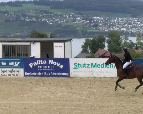 Pferdesporttage Wädenswil 2022