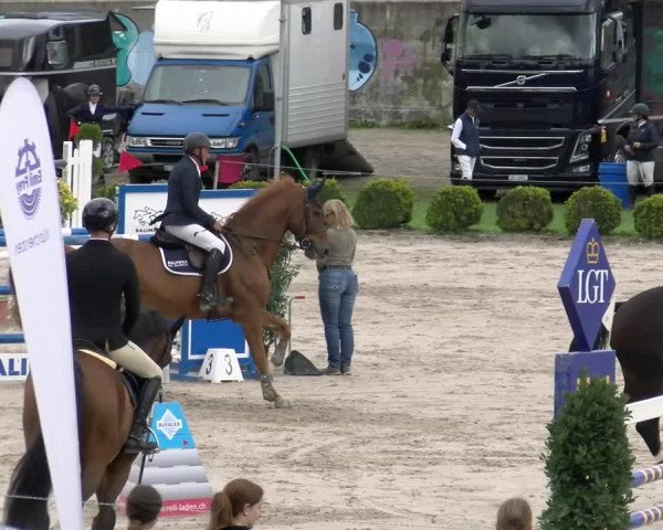 Reitturnier Basel Schänzli 2022