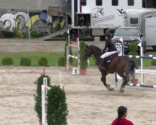 Reitturnier Basel Schänzli 2022