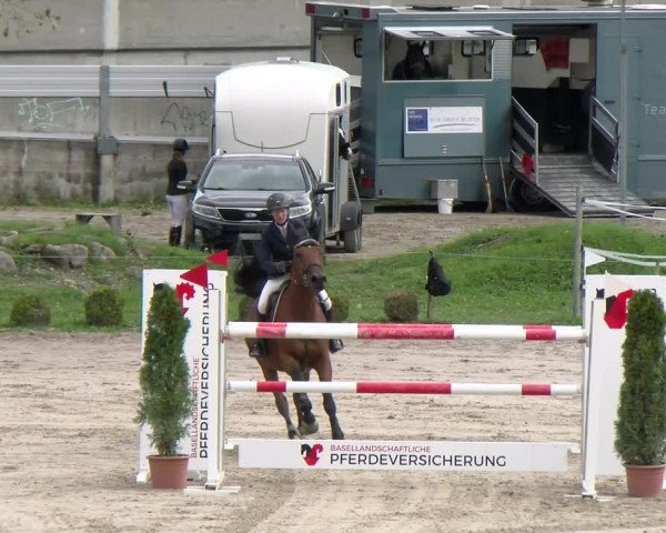 Reitturnier Basel Schänzli 2022