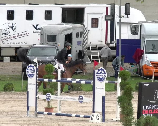 Reitturnier Basel Schänzli 2022