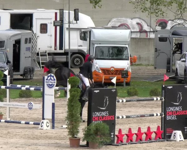 Reitturnier Basel Schänzli 2022