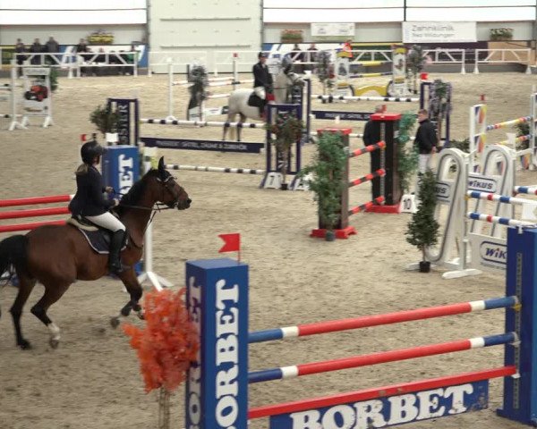 Reitturnier Borken 2022