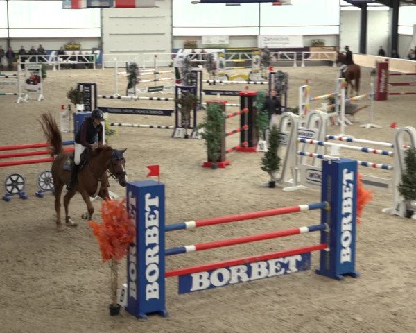 Reitturnier Borken 2022