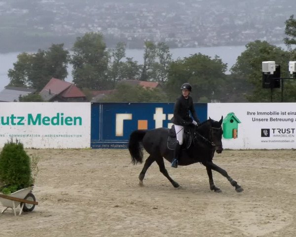 Pferdesporttage Wädenswil 2022