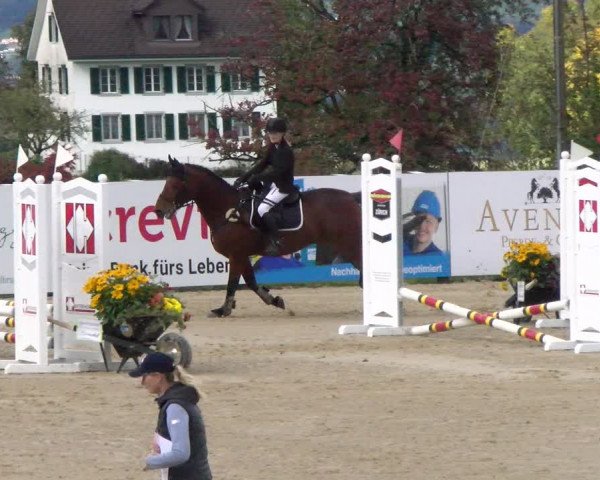 Pferdesporttage Wädenswil 2022