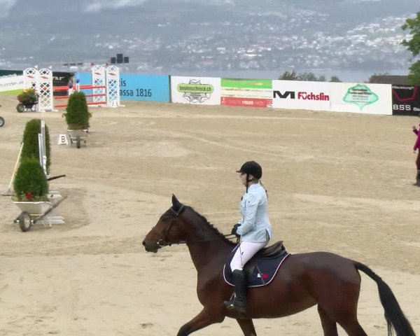 Pferdesporttage Wädenswil 2022