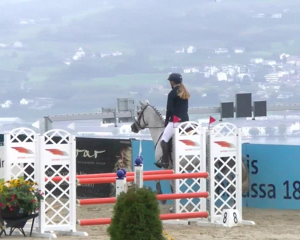 Pferdesporttage Wädenswil 2022