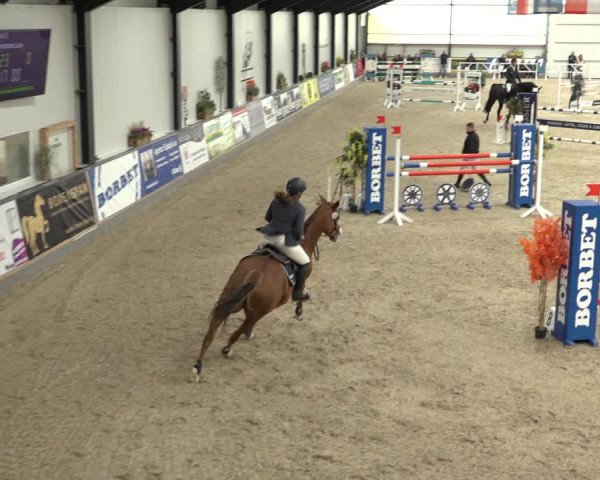 Reitturnier Borken 2022