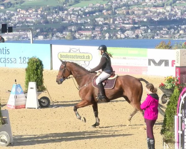 Pferdesporttage Wädenswil 2022