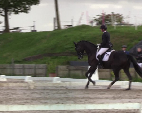 Reitturnier Schülp / Rendsburg 2022