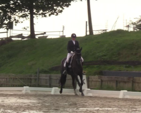 Reitturnier Schülp / Rendsburg 2022