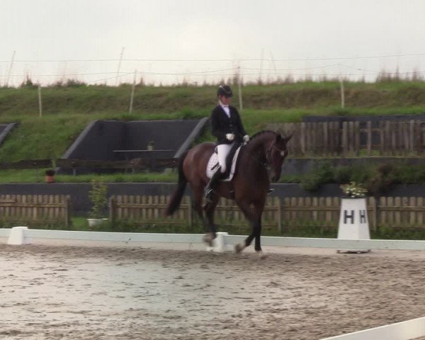 Reitturnier Schülp / Rendsburg 2022