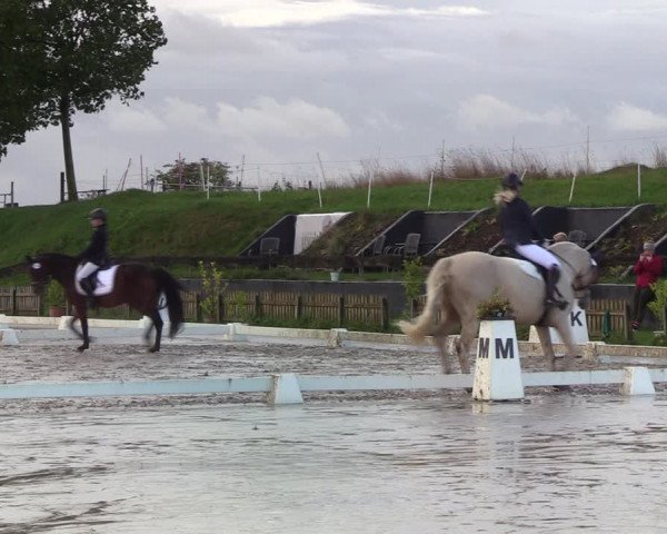 Reitturnier Schülp / Rendsburg 2022