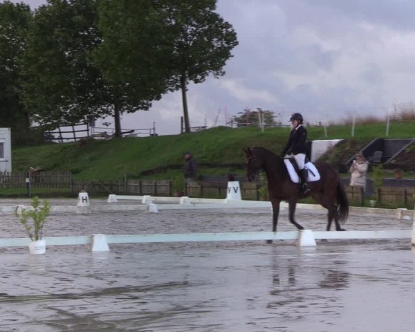 Reitturnier Schülp / Rendsburg 2022
