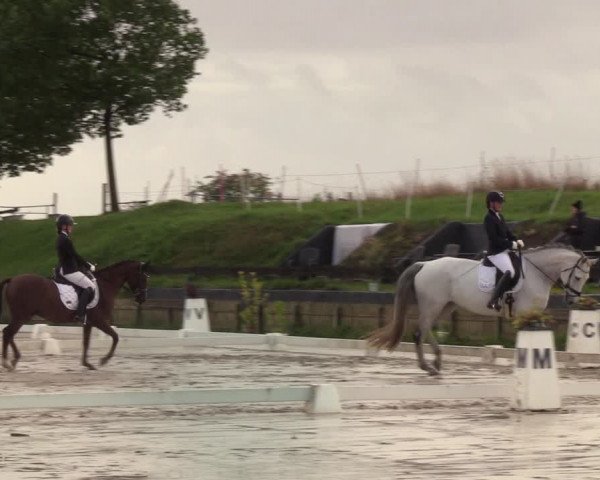 Reitturnier Schülp / Rendsburg 2022