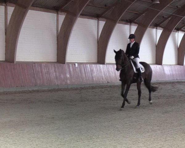 Reitturnier Schülp / Rendsburg 2022