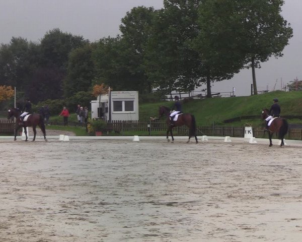 Reitturnier Schülp / Rendsburg 2022