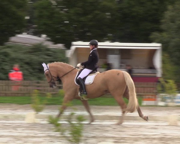 Reitturnier Schülp / Rendsburg 2022
