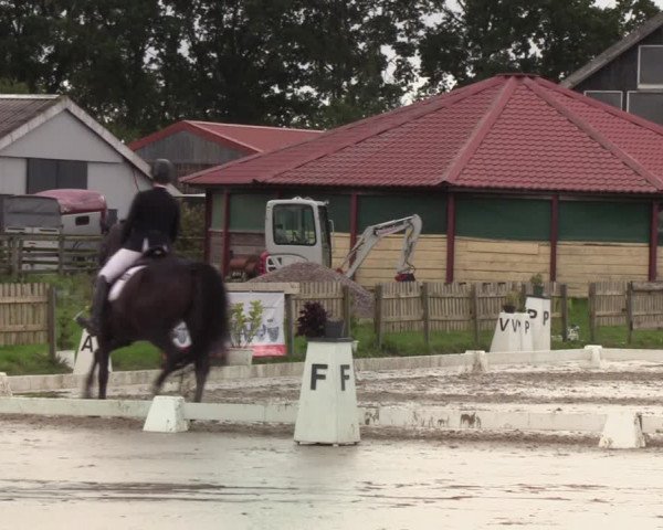 Reitturnier Schülp / Rendsburg 2022