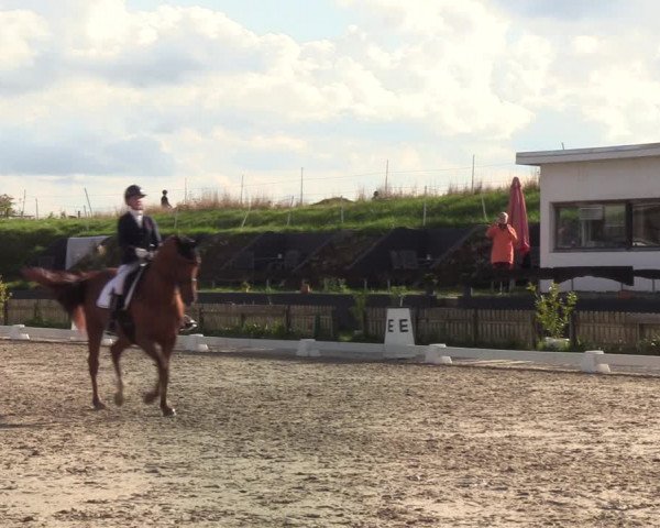 Reitturnier Schülp / Rendsburg 2022