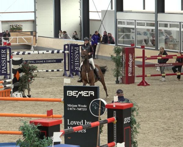 Reitturnier Borken 2022