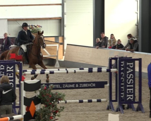 Reitturnier Borken 2022