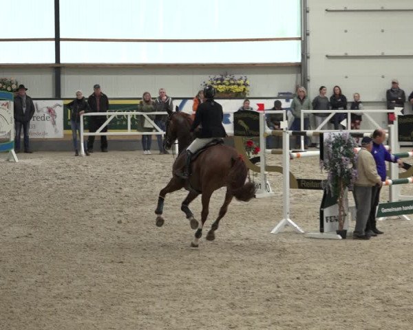 Reitturnier Borken 2022